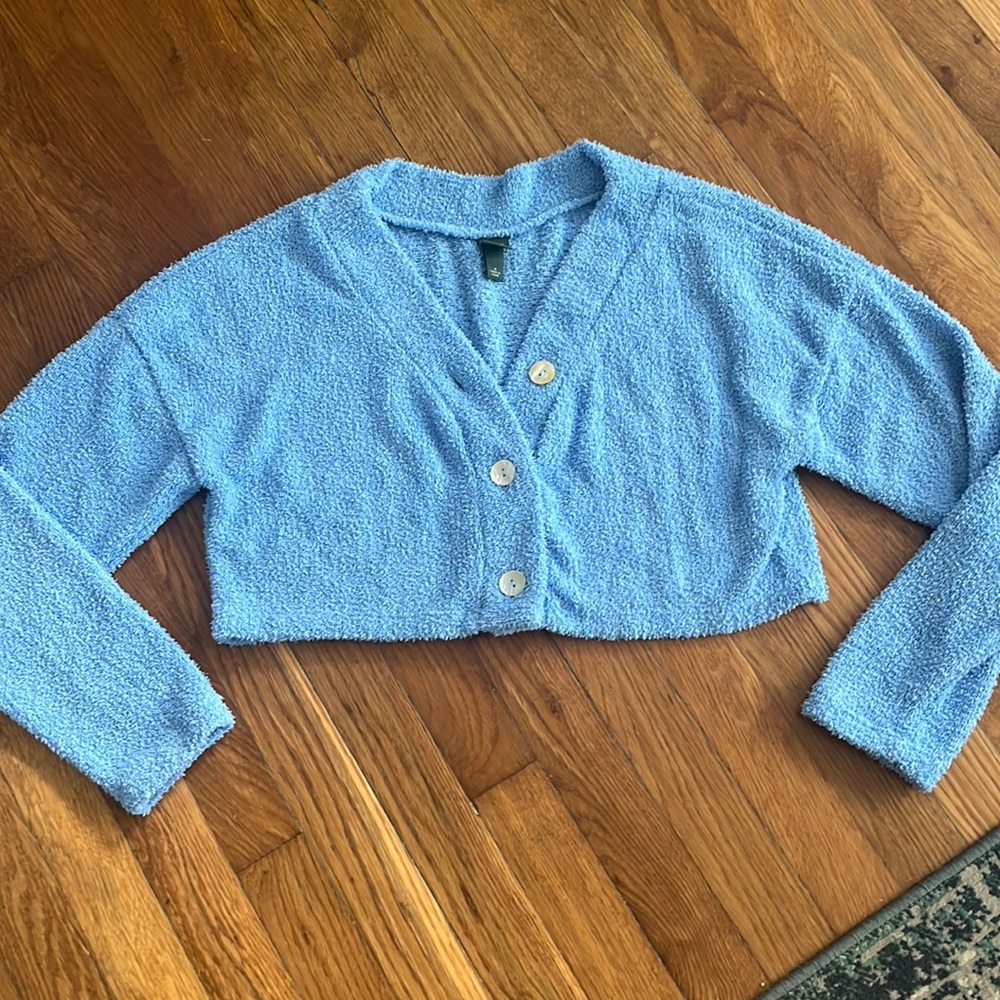 Light Blue Fuzzy Cropped Sweater